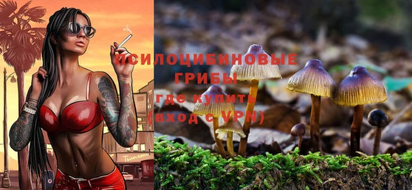 тгк Арсеньев