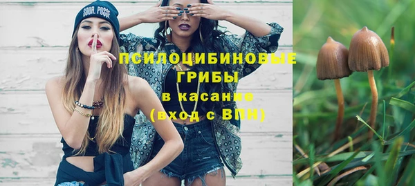 apvp Аркадак