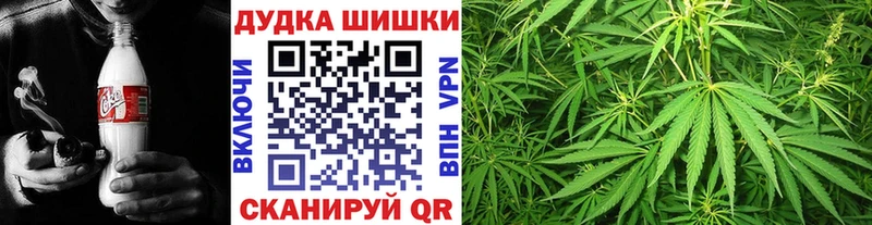 Купить где Бородино Канабис семена
